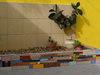 mosaico_8